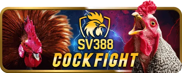 Cá cược Thể thao Win888